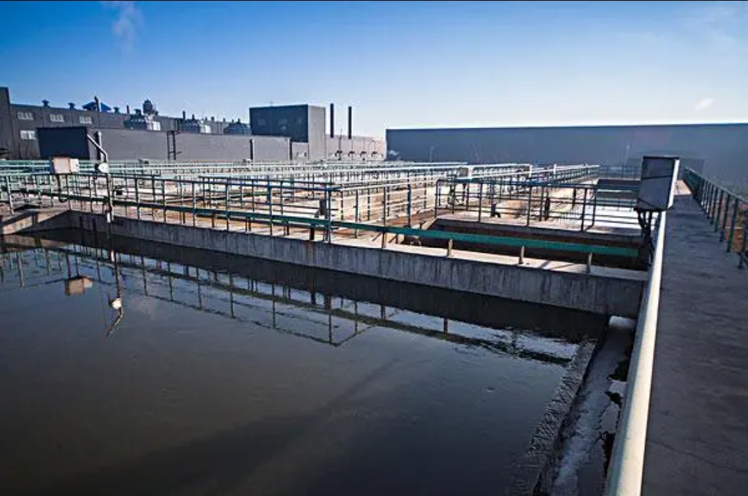 �۱�ϩ����