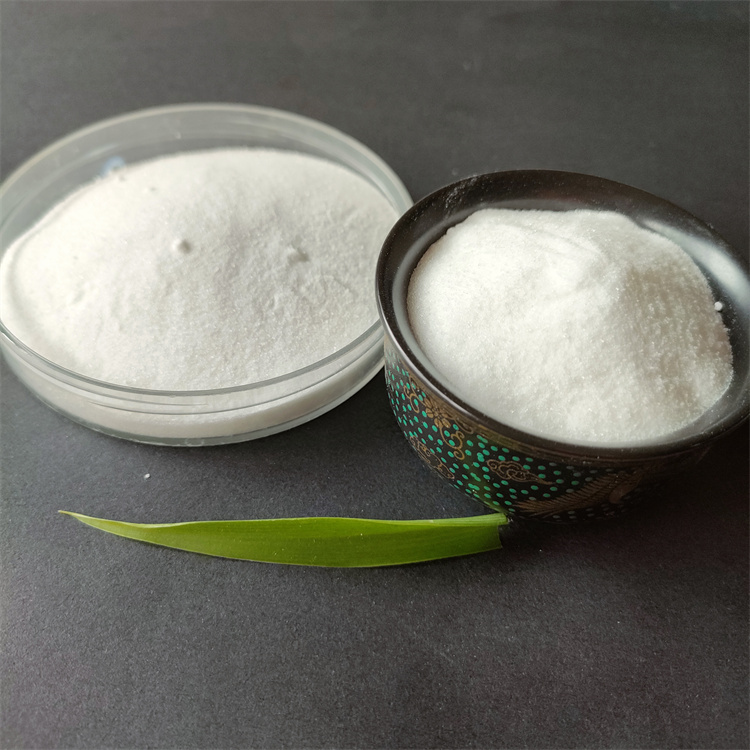 ��״�۱�ϩ����