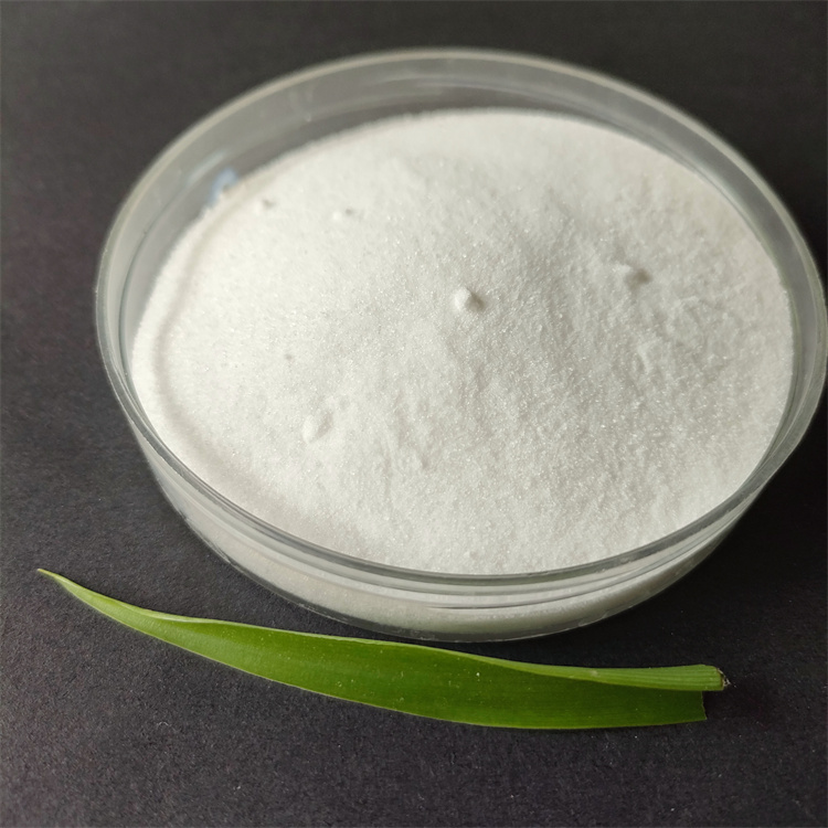 ¾Û±ûÏ©õ£°· ¾Û±ûÏ©õ£°·