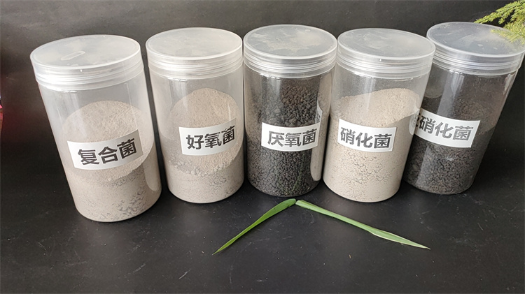 ΢�������