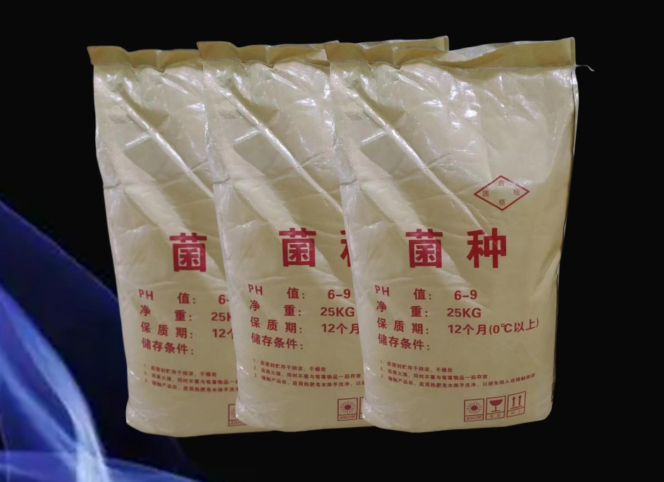 ΢�������