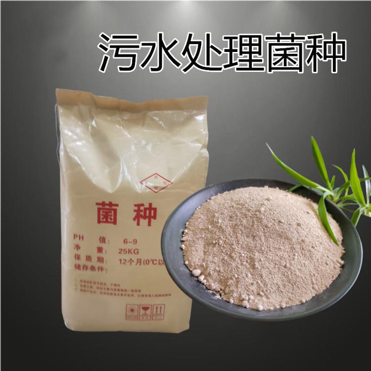 ΢�������