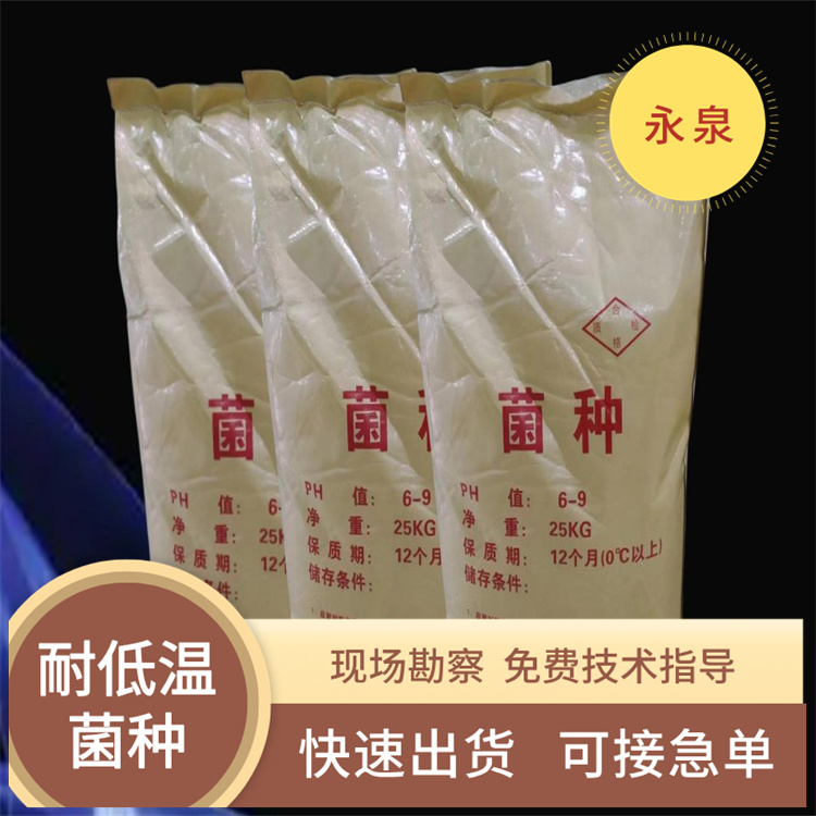 ΢ÉúÎï¾úÖÖ Î¢ÉúÎï¾úÖÖ